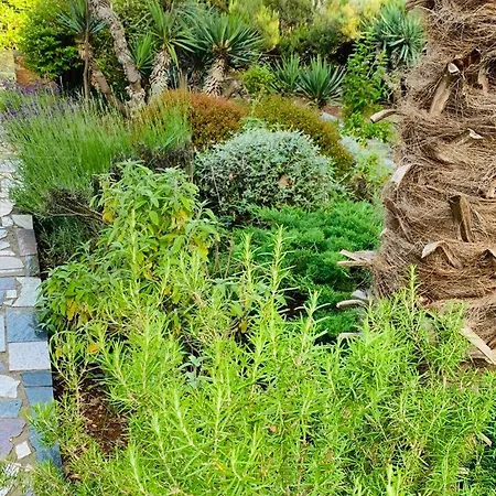 Nikolina * 马林斯卡