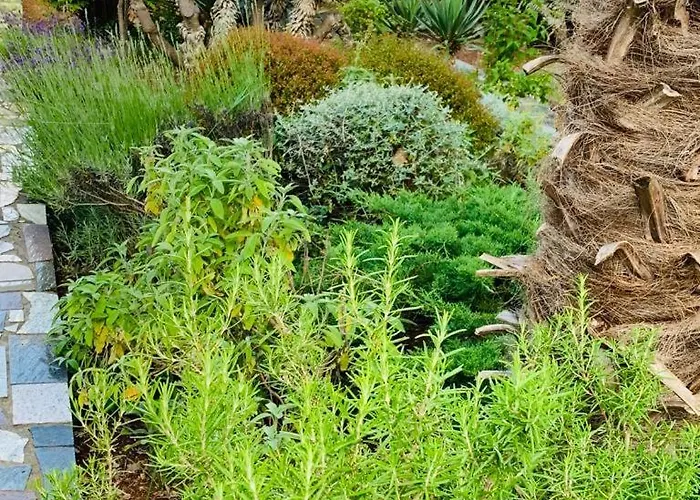 Nikolina * 말린스카